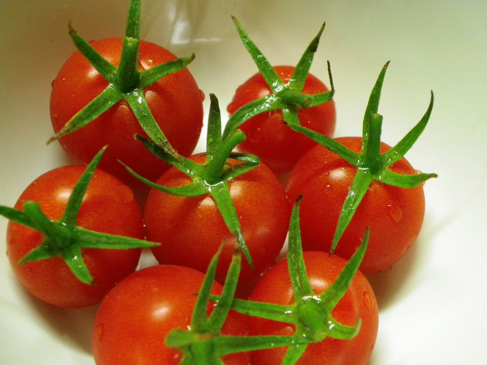 ミニトマトの仕立て方 家庭菜園や家庭農園で作る野菜のおいしい 上手な作り方 育て方