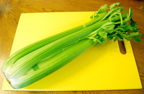 セロリ 家庭菜園や家庭農園で作る野菜のおいしい 上手な作り方 育て方