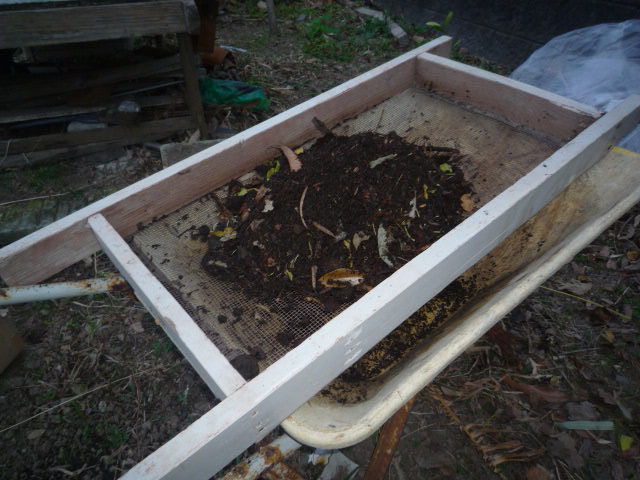 コガネムシ防ぐ堆肥の作り方 家庭菜園や家庭農園で作る野菜のおいしい 上手な作り方 育て方
